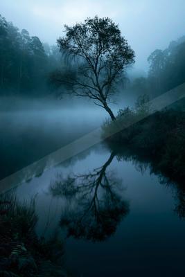 A serene water scene of lake, trees, fog.