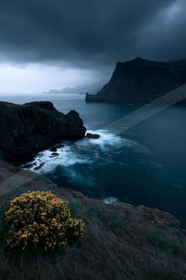 Moody coastal landscape featuring dark rocky cliffs, a turbulent sea with white waves, and a vibrant yellow flowering bush in the foreground under heavy storm c