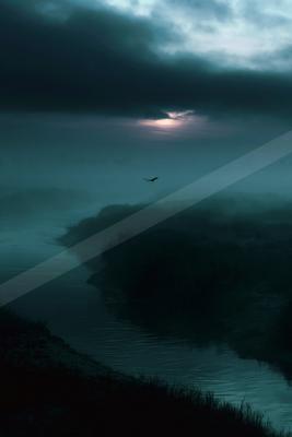 A solitary bird flies across a foggy river landscape under a dramatic, cloudy sky at dusk, with a faint light breaking through the clouds.