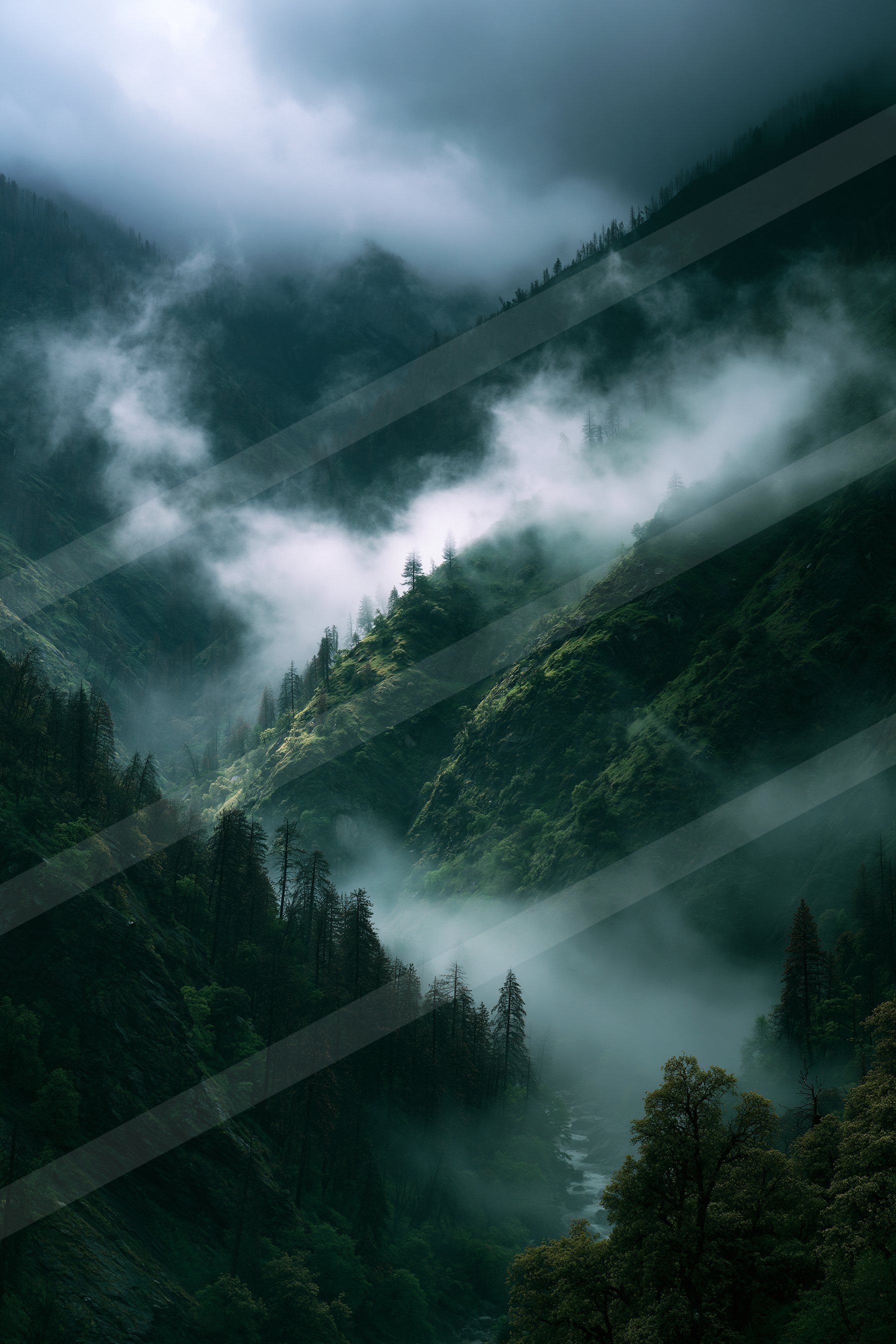 A serene forest valley shrouded in mist, featuring dense evergreen trees and a winding river below.