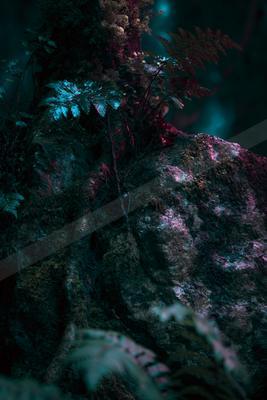 A night nature scene of plants, waterfall, forest.