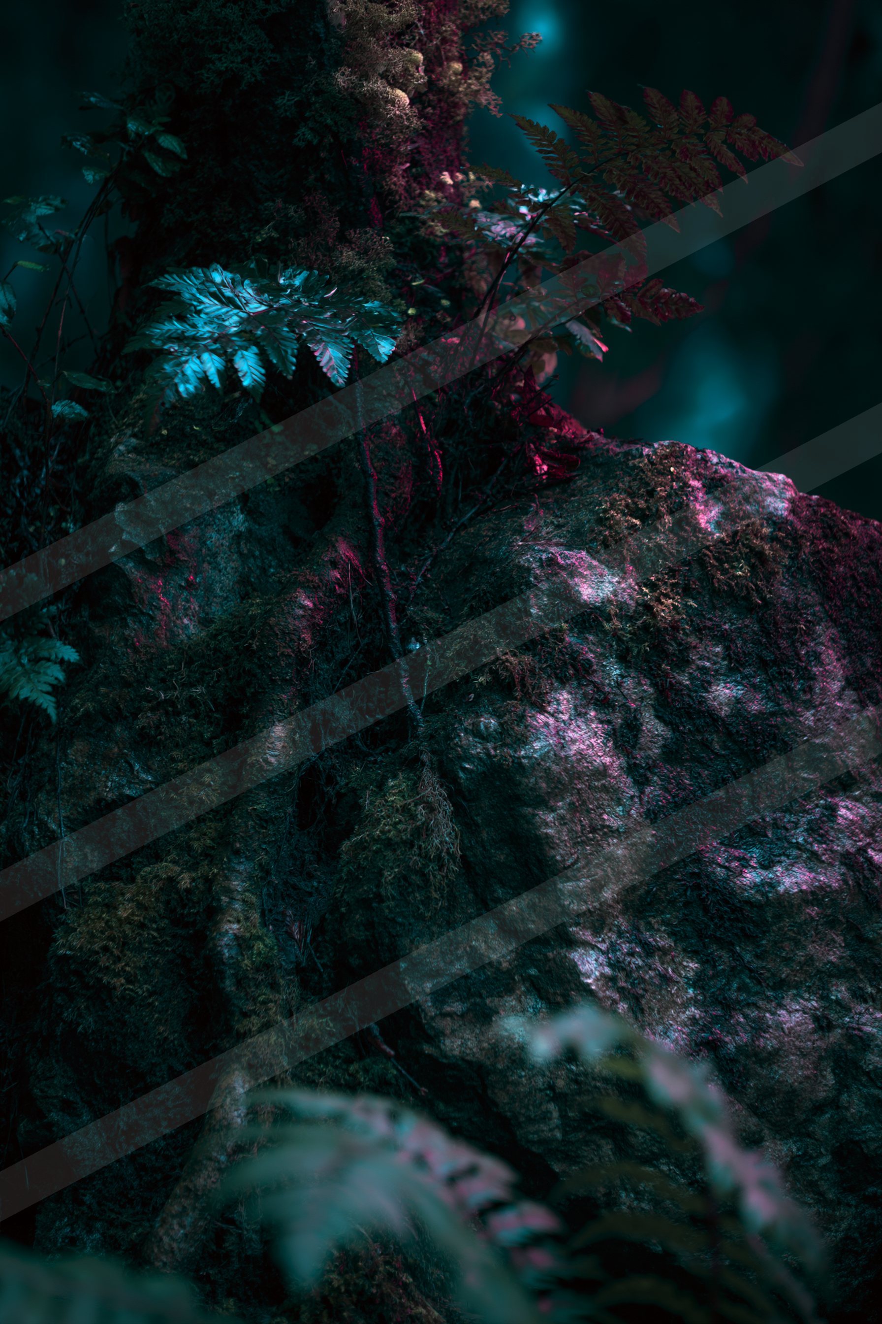 A mysterious high contrast water scene of an underwater, rocks.