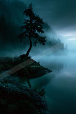 A serene water scene of lake, trees, forest.