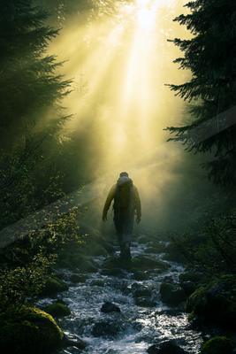 A serene water scene of river, fog.