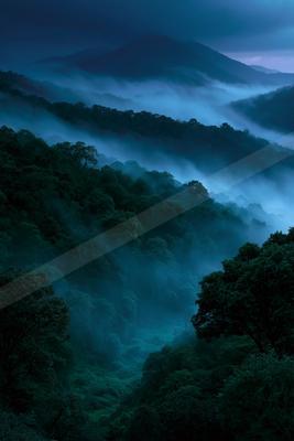 A blue hour nature scene of forest, mountains, valley.