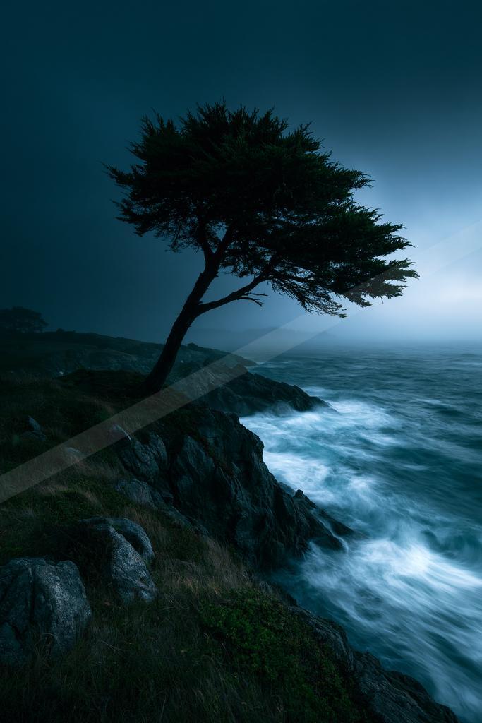 A night long exposure nature scene of trees, ocean, storm.