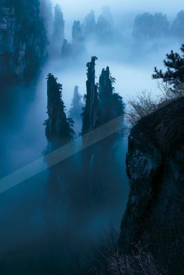 A dramatic nature scene of forest, mountains, trees.
