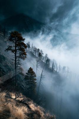 A dramatic long exposure landscape of mountains, trees, forest.
