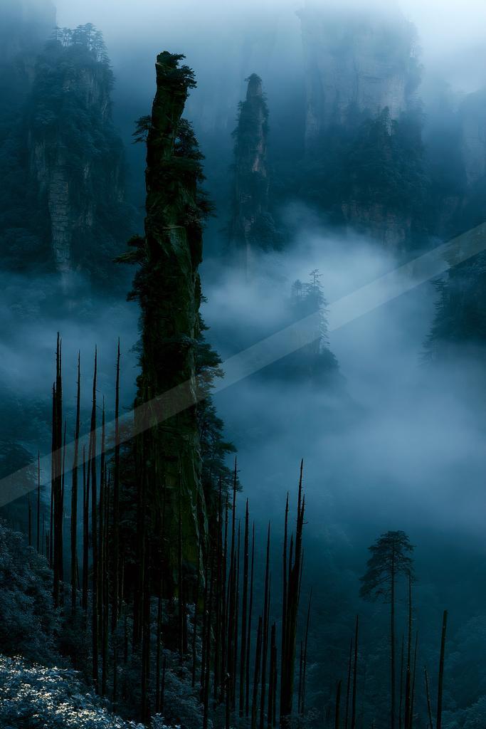 A dramatic nature scene of trees, mountains, forest.