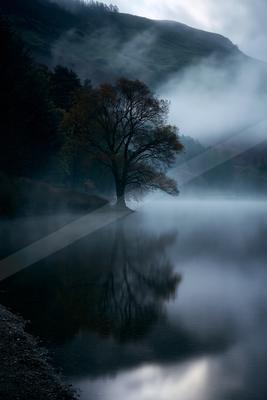 A serene water scene of lake, river, trees.