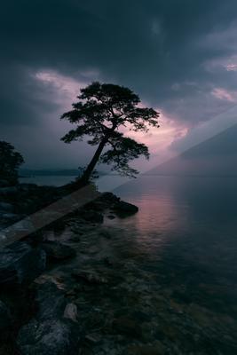 A solitary tree leans over a calm lake from a rocky shoreline under a dramatic, cloudy twilight sky with pink and purple hues.