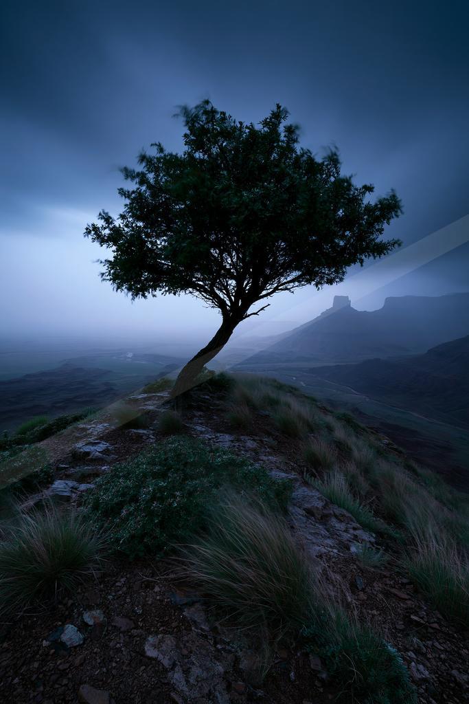 A solitary tree stands on a rocky, grassy ridge overlooking a vast misty valley with distant mountains under a dark, moody sky.