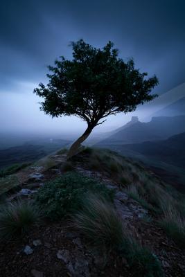 A solitary tree stands on a rocky, grassy ridge overlooking a vast misty valley with distant mountains under a dark, moody sky.