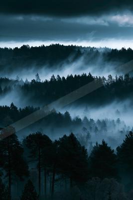 A green-toned moody photograph of alp, valley, lakeside.