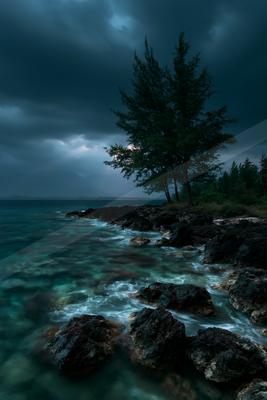 A lone tree stands on a rocky shoreline as turquoise waves crash against dark volcanic rocks under a brooding, stormy sky with dramatic light rays breaking thro