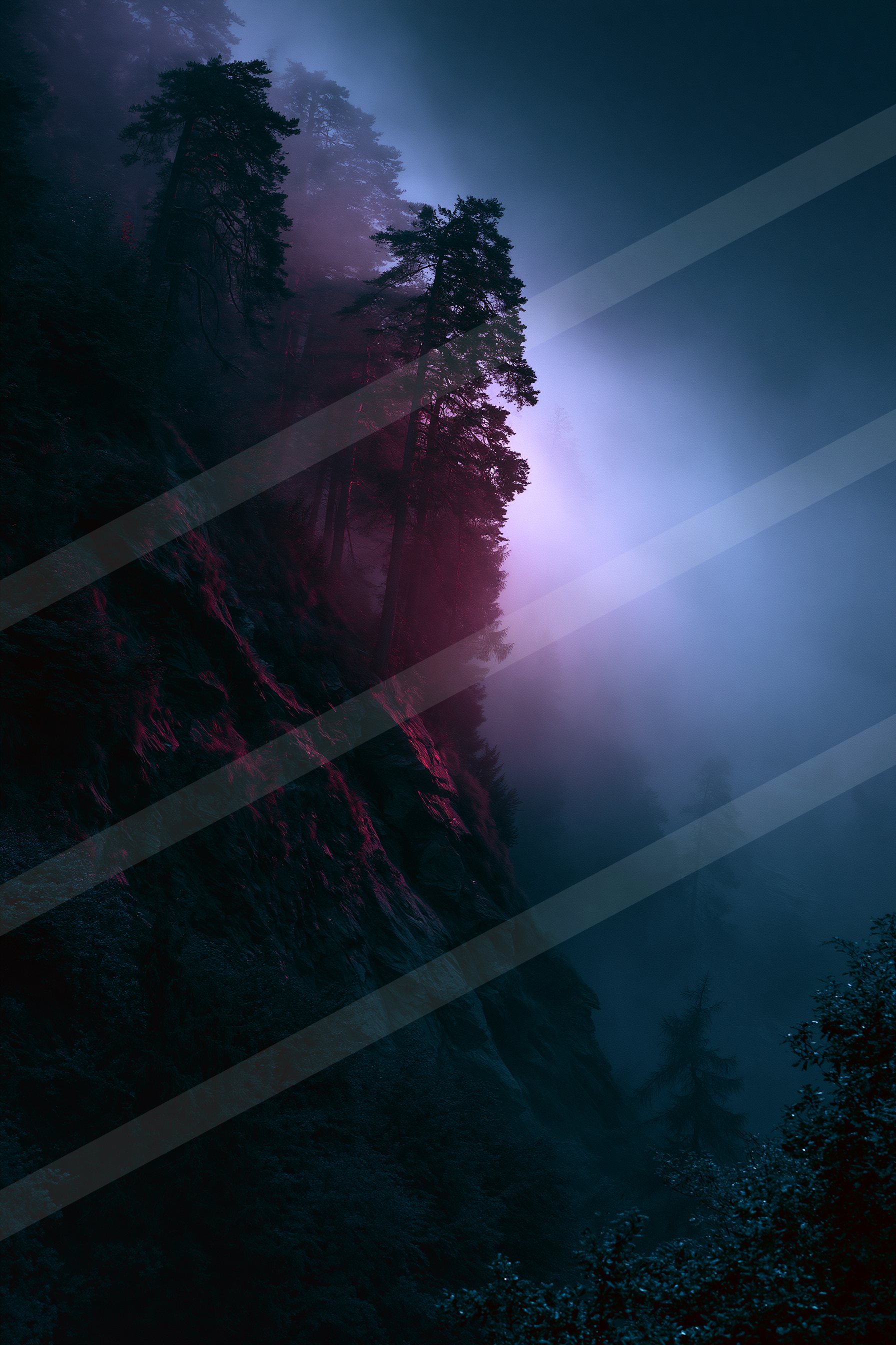 An ethereal high contrast nature scene of a forest, fog.
