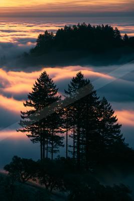 A moody sky scene of clouds, sunrise, trees.