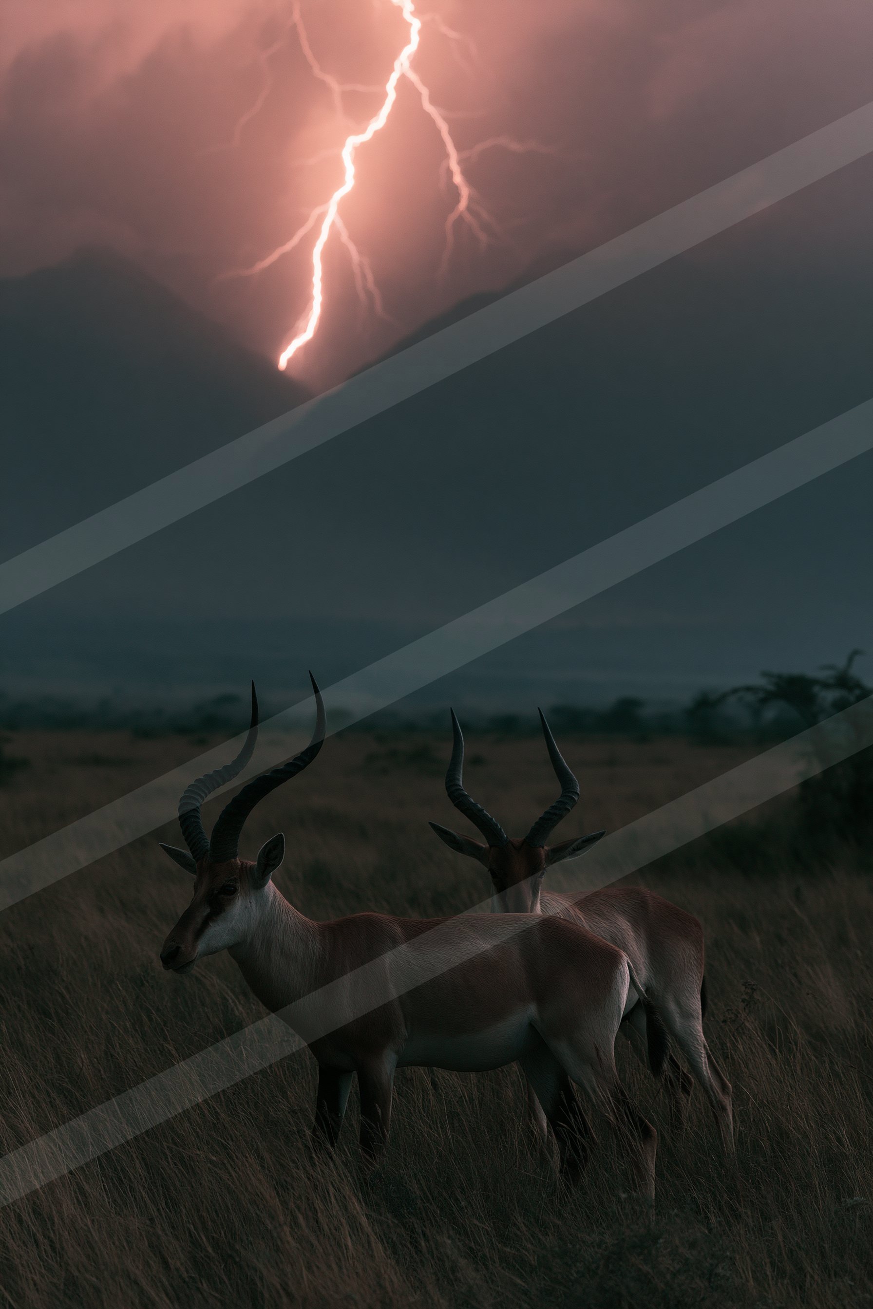 Two antelopes standing in a grassy field under a stormy sky with striking lightning bolts.