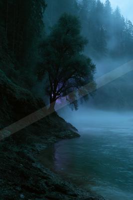 A night nature scene of trees, river, lake.