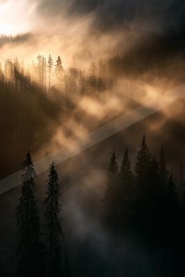 A brown-toned moody photograph of alp, lakeside, valley.